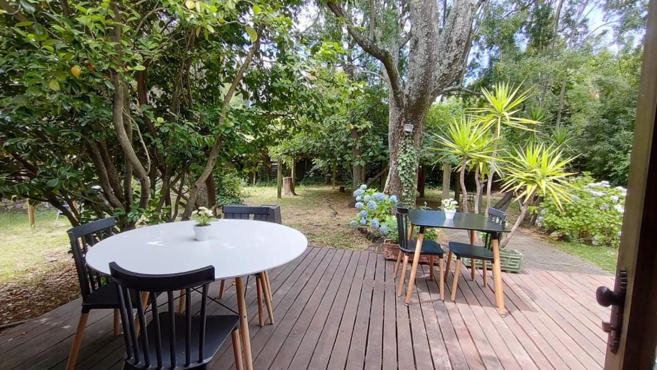 La Nuez Bnb Pucón Buitenkant foto