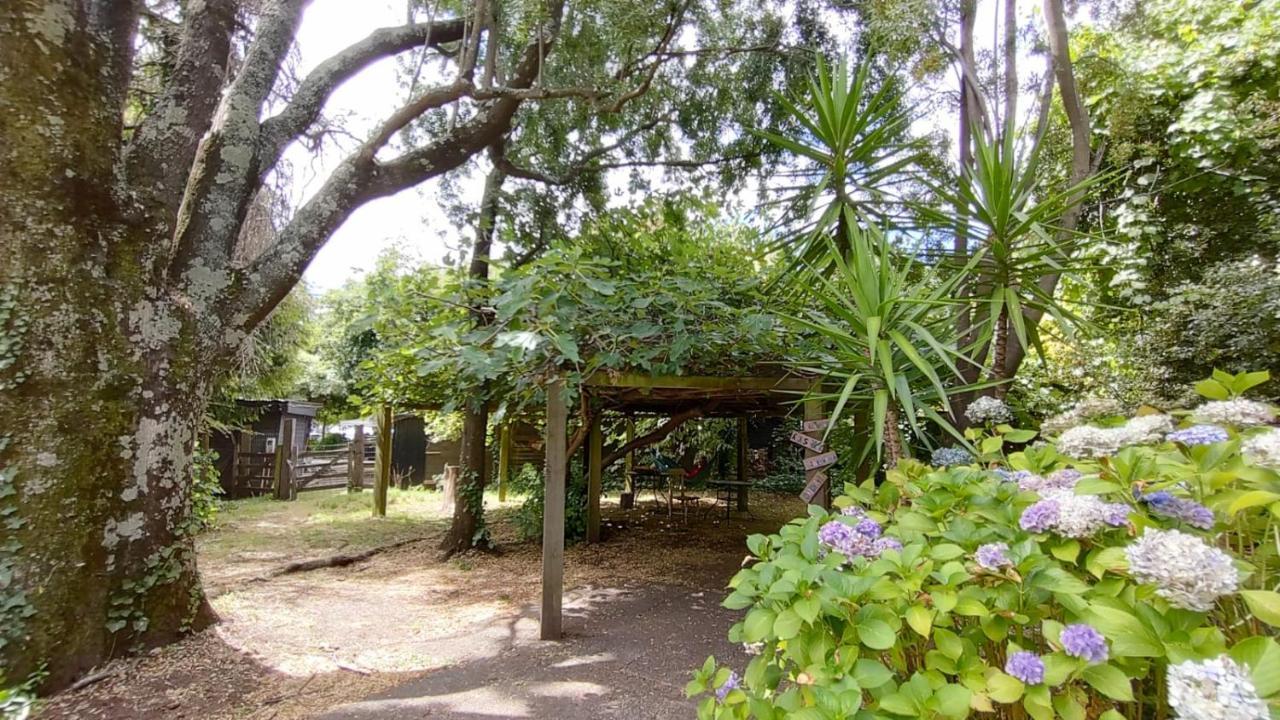 La Nuez Bnb Pucón Buitenkant foto